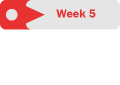 WK-5 Category Icon