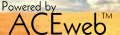 Link to ACEweb Information page